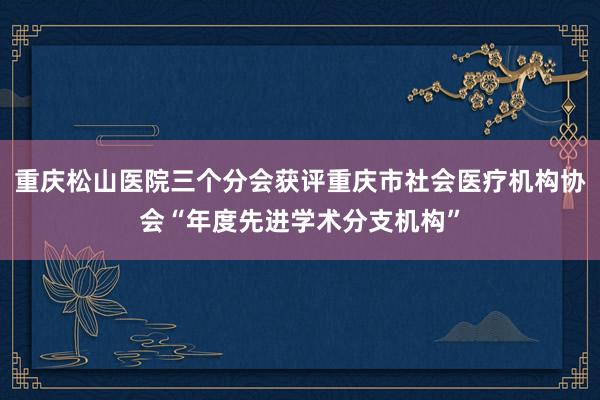 重庆松山医院三个分会获评重庆市社会医疗机构协会“年度先进学术分支机构”