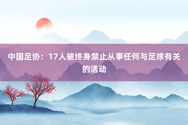 中国足协：17人被终身禁止从事任何与足球有关的活动