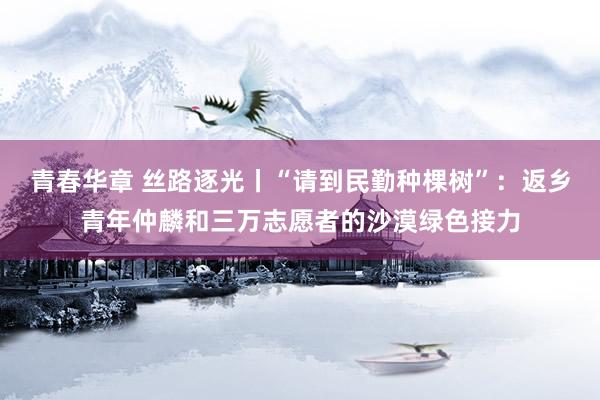 青春华章 丝路逐光丨“请到民勤种棵树”：返乡青年仲麟和三万志愿者的沙漠绿色接力