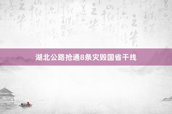 湖北公路抢通8条灾毁国省干线