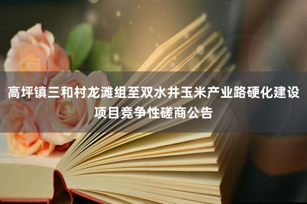 高坪镇三和村龙滩组至双水井玉米产业路硬化建设项目竞争性磋商公告