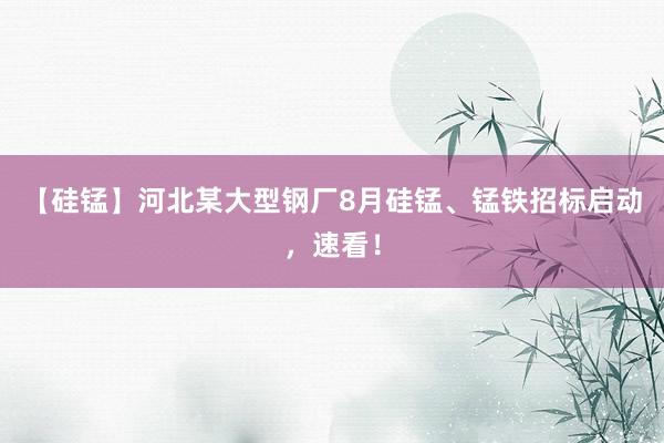 【硅锰】河北某大型钢厂8月硅锰、锰铁招标启动，速看！