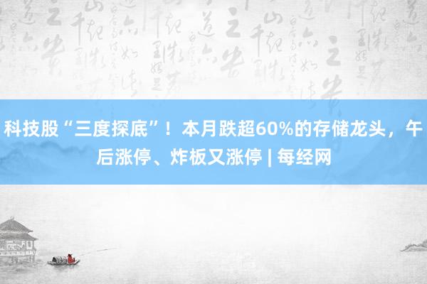 科技股“三度探底”！本月跌超60%的存储龙头，午后涨停、炸板又涨停 | 每经网
