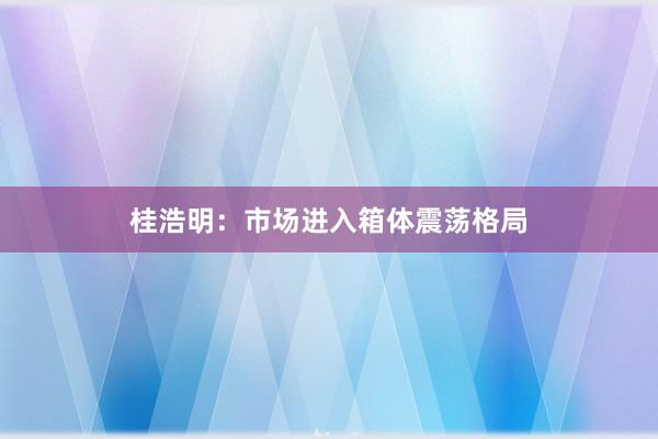 桂浩明:市场进入箱体震荡格局