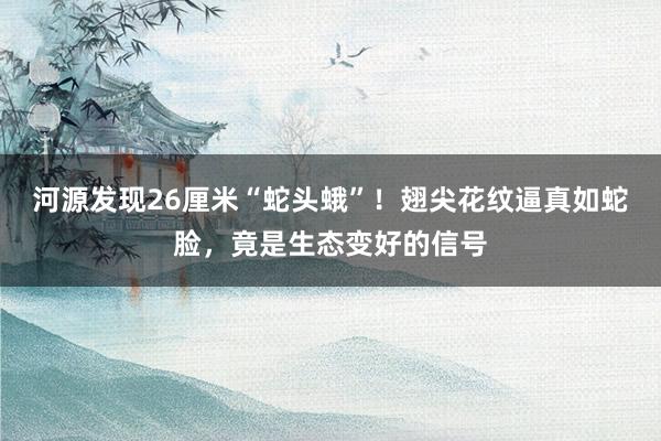 河源发现26厘米“蛇头蛾”！翅尖花纹逼真如蛇脸，竟是生态变好的信号