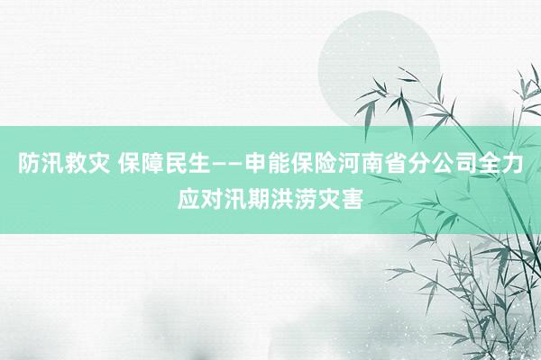 防汛救灾 保障民生——申能保险河南省分公司全力应对汛期洪涝灾害