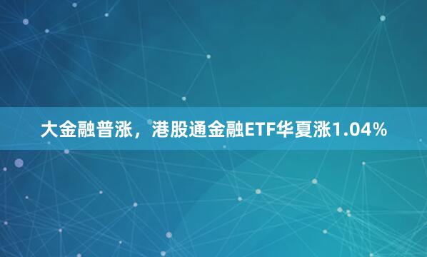 大金融普涨，港股通金融ETF华夏涨1.04%