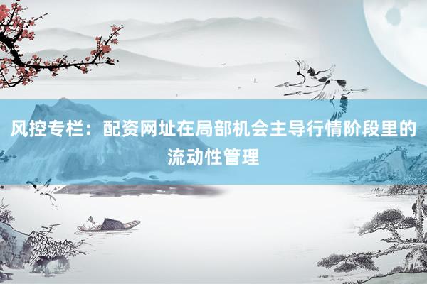 风控专栏：配资网址在局部机会主导行情阶段里的流动性管理