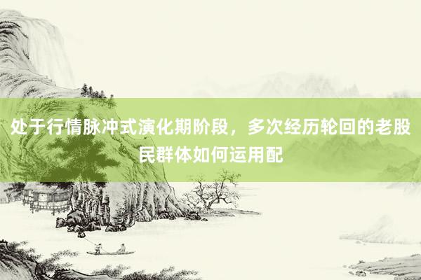 处于行情脉冲式演化期阶段，多次经历轮回的老股民群体如何运用配