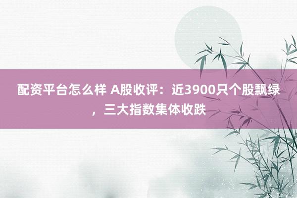 配资平台怎么样 A股收评：近3900只个股飘绿，三大指数集体收跌
