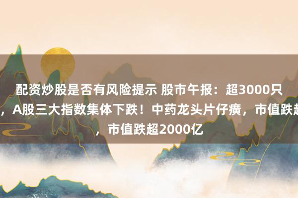 配资炒股是否有风险提示 股市午报：超3000只个股飘绿，A股三大指数集体下跌！中药龙头片仔癀，市值跌超2000亿