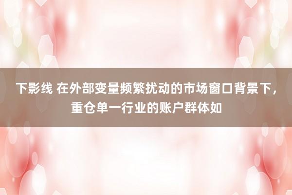 下影线 在外部变量频繁扰动的市场窗口背景下，重仓单一行业的账户群体如