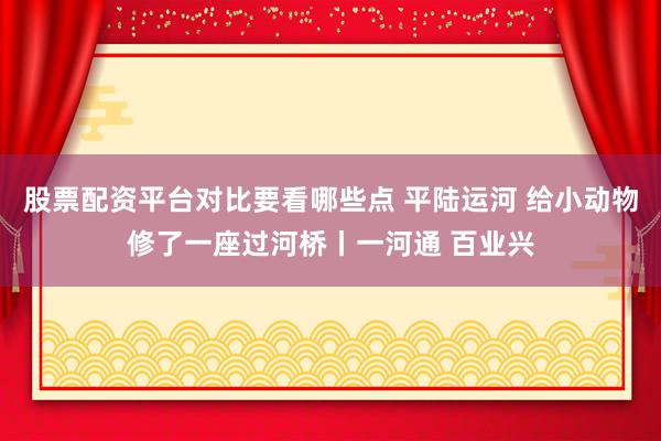 股票配资平台对比要看哪些点 平陆运河 给小动物修了一座过河桥丨一河通 百业兴