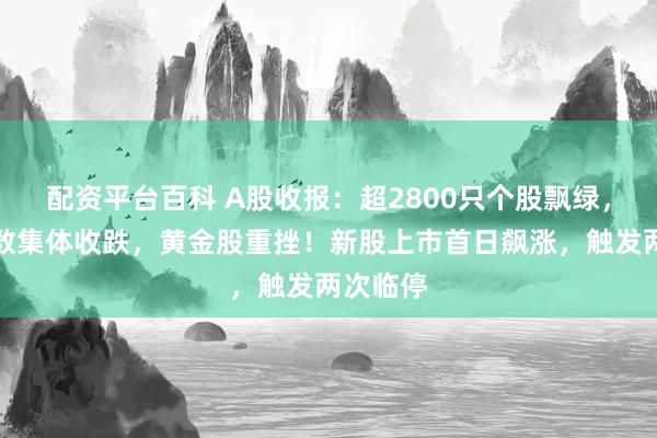 配资平台百科 A股收报:超2800只个股飘绿,三大指数集体收跌,黄金股重挫!新股上市首日飙涨,触发两次临停