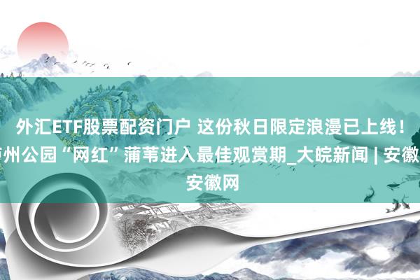 外汇ETF股票配资门户 这份秋日限定浪漫已上线!庐州公园“网红”蒲苇进入最佳观赏期_大皖新闻 | 安徽网