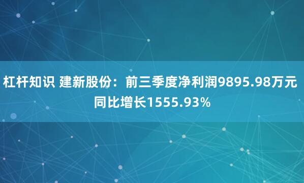 杠杆知识 建新股份：前三季度净利润9895.98万元 同比增长1555.93%