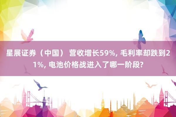 星展证券（中国） 营收增长59%, 毛利率却跌到21%, 电池价格战进入了哪一阶段?